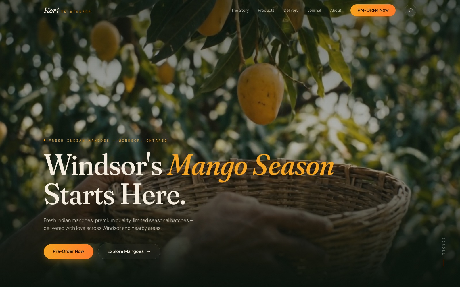 Keri in Windsor mango delivery website